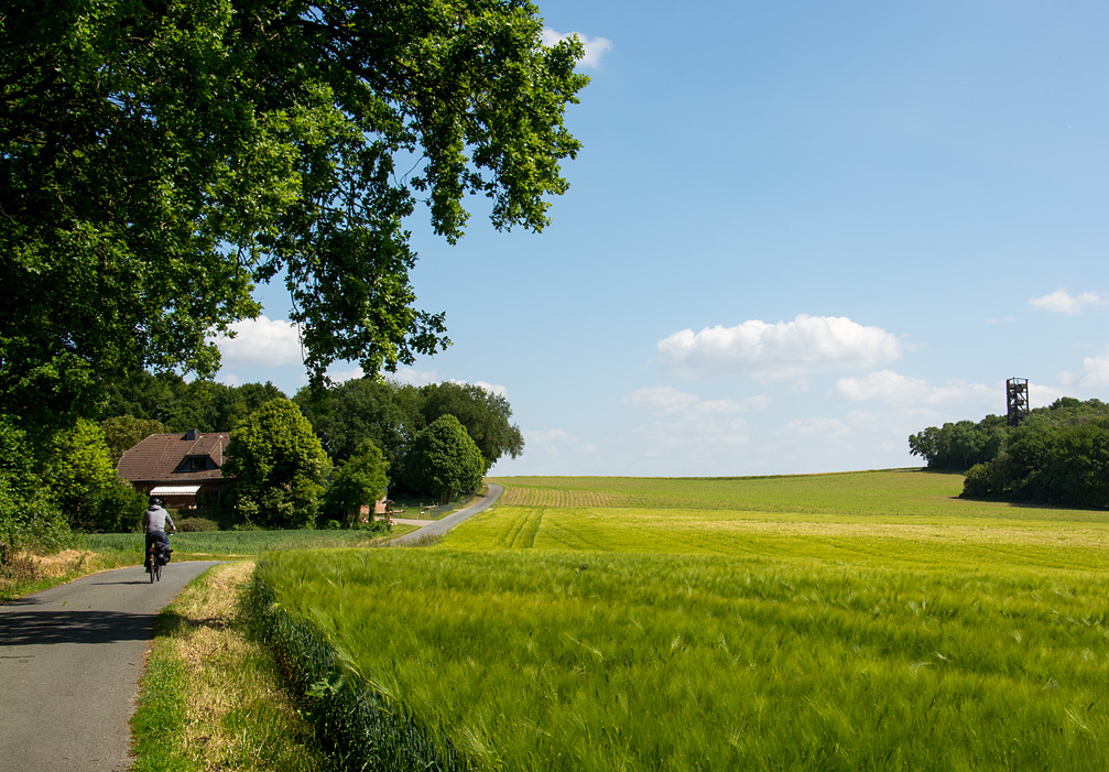 Foto: D&uuml;rsberg mit Aussichtsturm